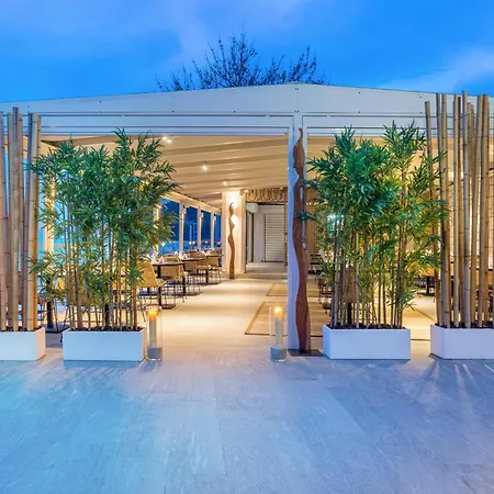 Ammon Zeus Luxury
