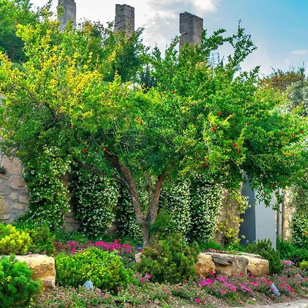 Ammon Zeus Luxury Hotel 5*