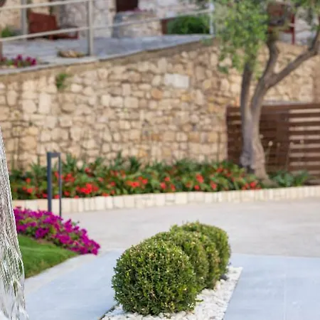 Ammon Zeus Luxury