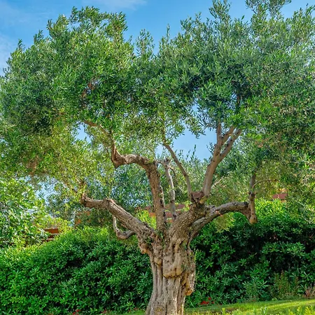 Hotel Ammon Zeus Luxury Kallithea (Chalkidiki)