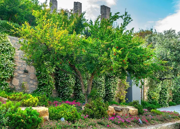 Ammon Zeus Luxury Otel 5*