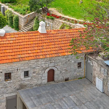 Ammon Zeus Luxury فندق